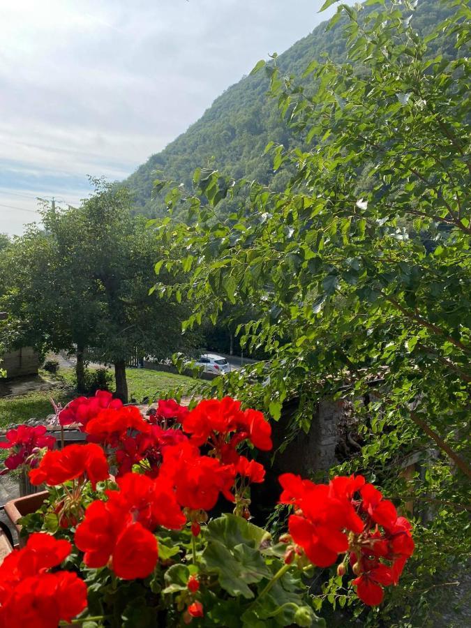 B&B La Corte Del Segrino Canzo Zewnętrze zdjęcie